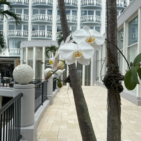 Not For Sale - Picture 7 of 12